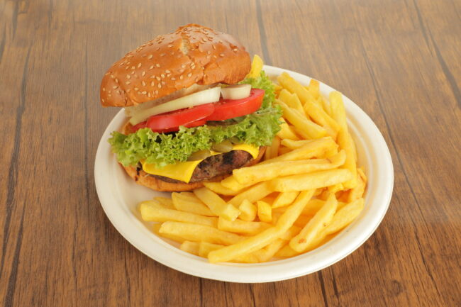 Disposable Sugarcane Bagasse